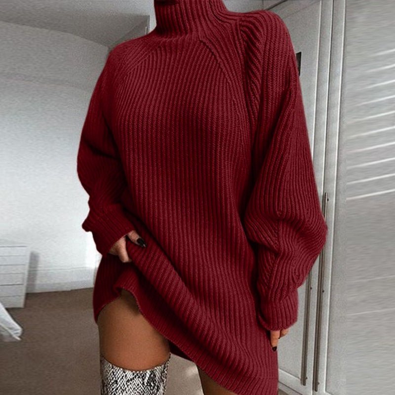 long sleeve women's sweater dress- NextthinkShop